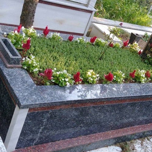 Avrupa Yakası Kabir Temizliği